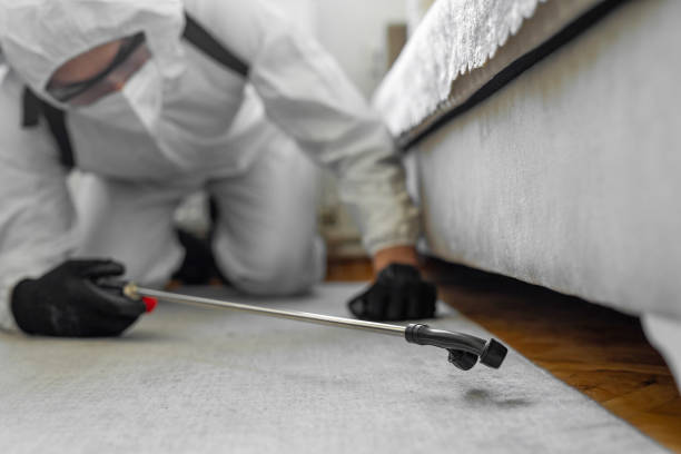 Professional Termite Control technician working in Homer Glen, IL